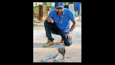 Summer scare: BBMP gets 60 snake rescue calls a day