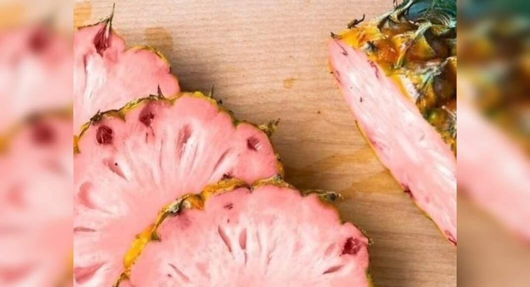 Magic fruit: The pink pineapple is actually a thing! - Misskyra.com