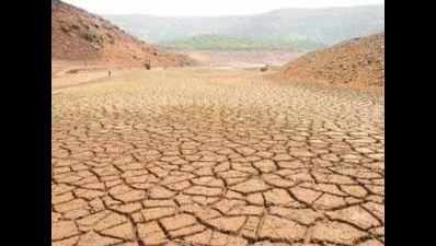 37% of Maharashtra villages likely to get drought-like status