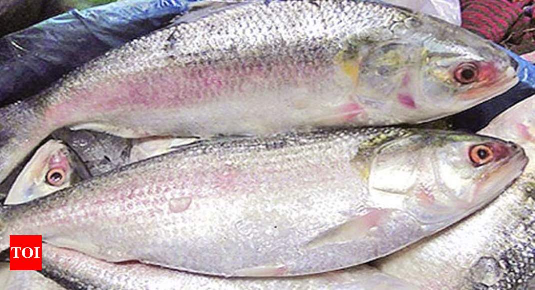 west-bengal-hilsa-fish-distributed-to-mlas-in-west-bengal-assembly