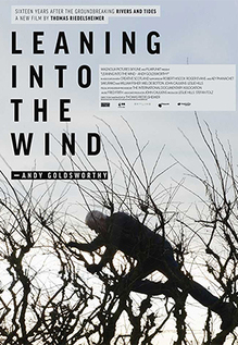 Leaning Into The Wind