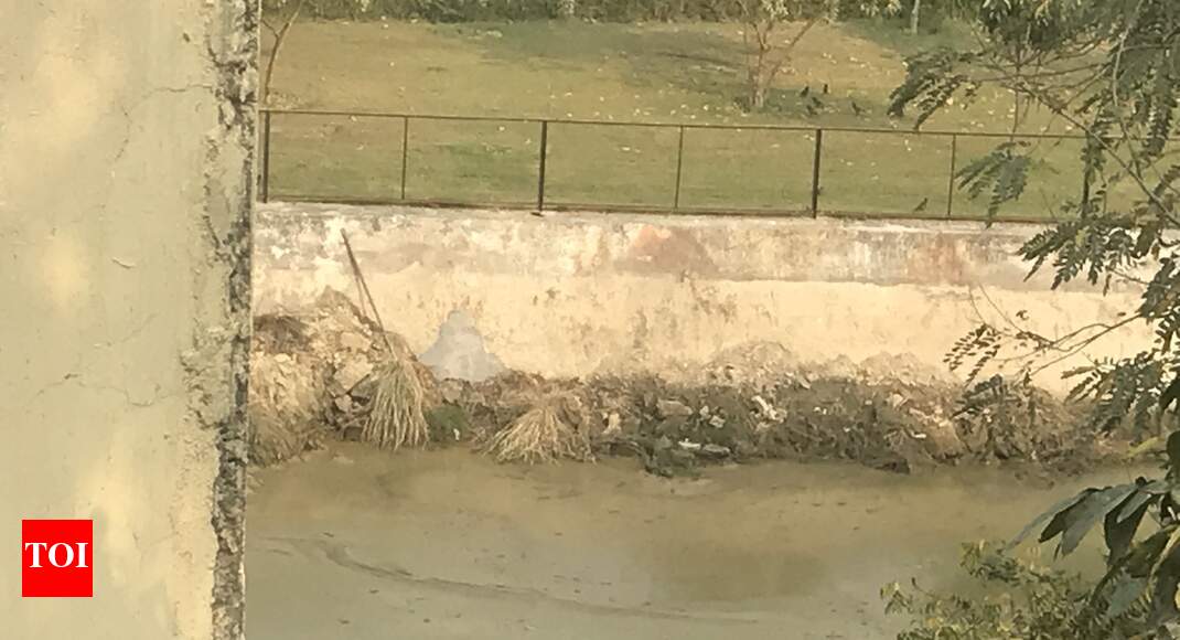 DJB water treatment plant breeds giant mosquitoes Times of India