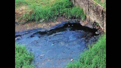 Historical lake gets murkier as sewage seeps in