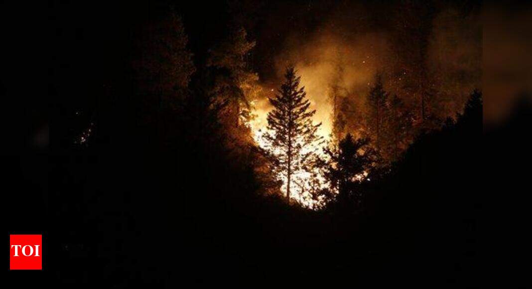 Forest fire in Tamilnadu | Kurangani fire: 20 Tamil Nadu ...