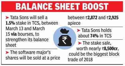 Tata Sons will raise $1bn from TCS stake sale