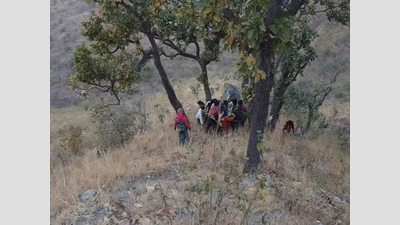 13 killed, 11 injured as bus falls into gorge in Uttarakhand