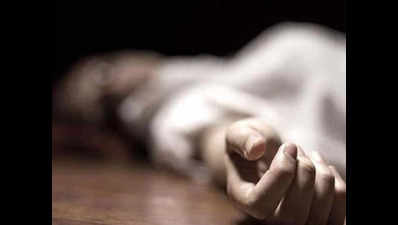 Five of a Bengaluru family die in Tamil Nadu road accident