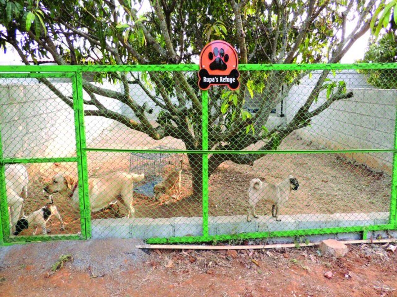 Rescued and abandoned animals get a second chance | Bengaluru News - Times of India Rescued and abandoned animals get a second chance | Bengaluru News - Times of India