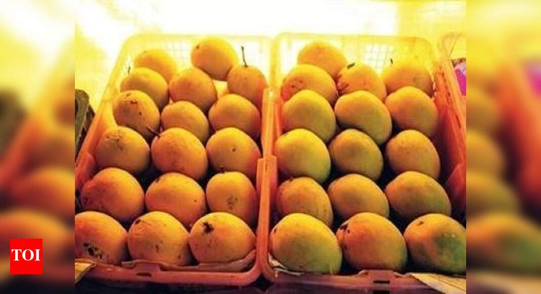 King of fruits commands princely sum this March Pune News Times of