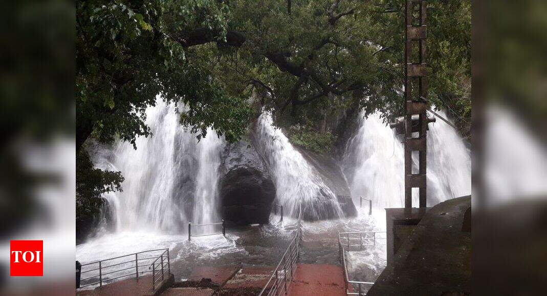 Tirunelveli And Tuticorin Districts Of Tamil Nadu Receive Heavy Rain Holiday Declared For Schools Chennai News Times Of India