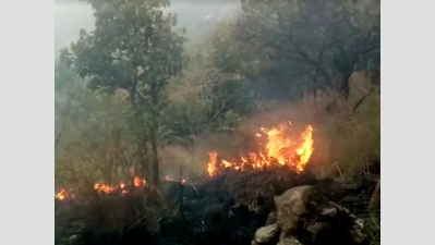 Tamil Nadu govt orders probe into Kurangani forest fire