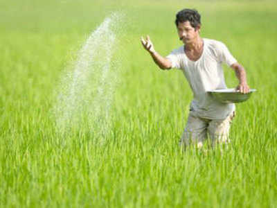 CCEA nod for extension of urea subsidy till 2020