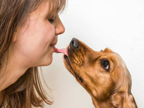 Your dog's lick can make you sick! Here's why | The Times of India Your Dog'S Lick Can Make You Sick! Here'S Why | The Times Of India