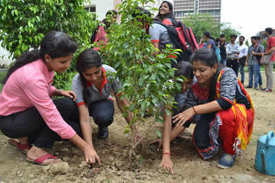 Raipur youngsters plant saplings in the city