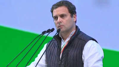 BJP is voice of an organisation, Congress is voice of a nation: Rahul Gandhi