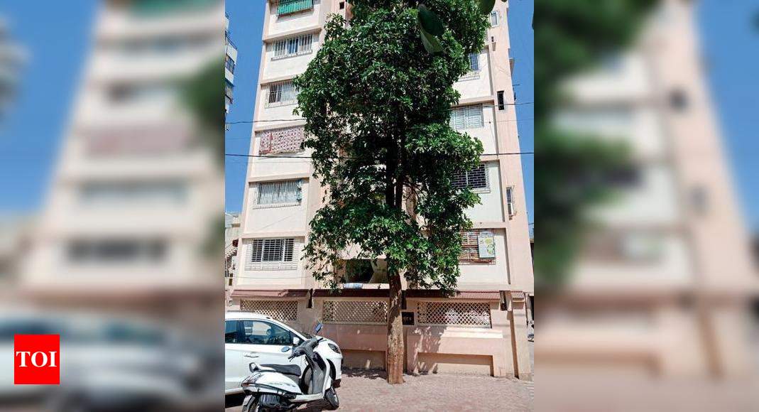 Old Woman Jumps Off 7th Flr Rajkot News Times Of India 1020