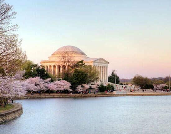 Cherry Blossom Festival