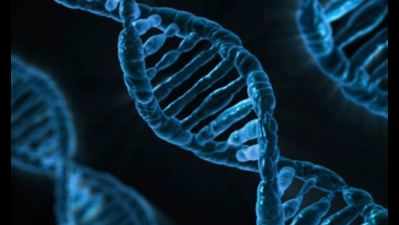 Hyderabad DNA unit helps identify Iraq bodies