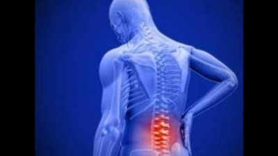 Government to conduct survey on impact of spine disease