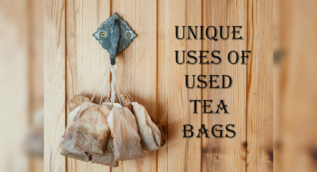 10 interesting uses of tea bags that will amaze you