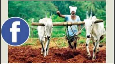 Karnataka: Facebook group for farmers runs online agriculture manifesto