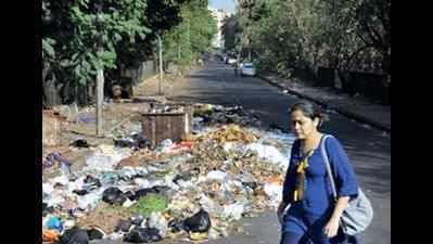 Garbage collection resumes in Panvel