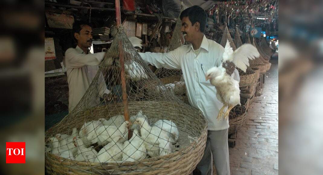 Kolkata Chicken Prices Slump in demand pulls chicken prices down
