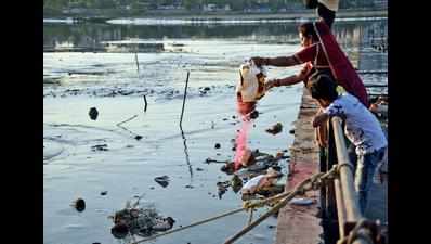 Textile traders to join hands to clear water hyacinth from Tapi