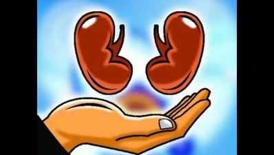 Kidney transplant plea rejected, telecom executive says punished for 'affluence'