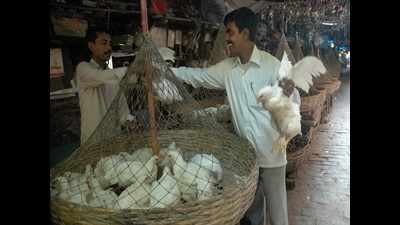 Kolkata: Chicken price stable after five-day fall