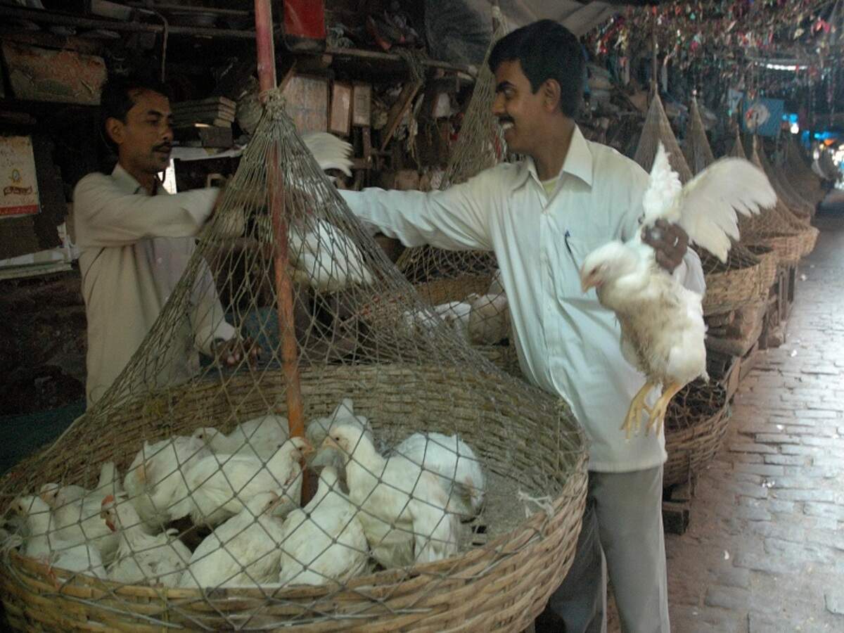 Kolkata Chicken Price Stable After Five Day Fall Kolkata News Times Of India