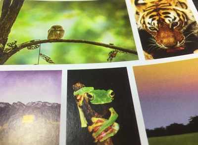 Travel-Wildlife photography exhibition at Ravishankar Kala Bhavan