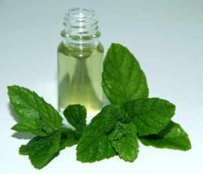 Mentha oil futures drop 1.30% on ample stocks