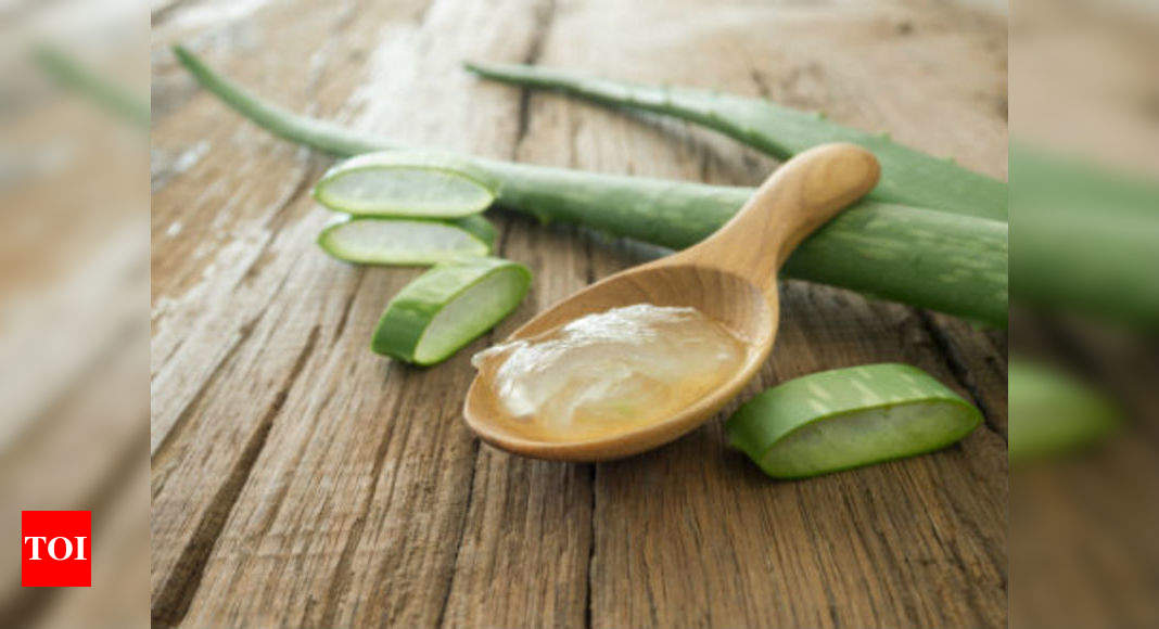 4 ways to consume aloe vera for a healthy weight loss! - Times of India
