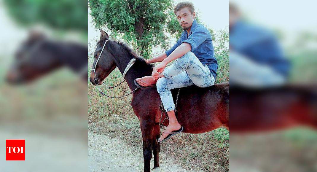 Dalit man killed for riding horse in Gujarat | Rajkot News - Times of India