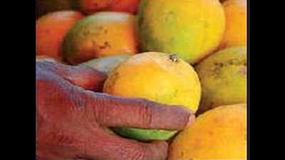 Local mango varieties are here, so are high prices