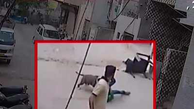 On cam: Dog attacks children in Delhi's Uttam Nagar area, almost mulls minor boy