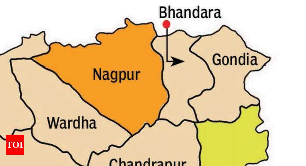 Sironcha Dalam chief, wife among three killed in encounter | Nagpur ...