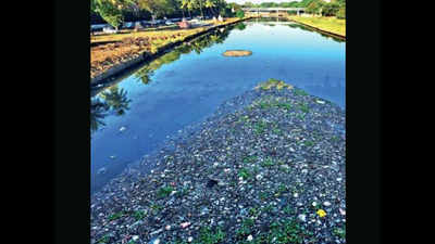 Mula-Mutha among most polluted rivers in country