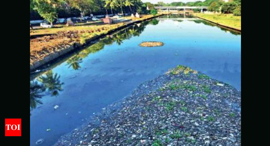 Mula-Mutha among most polluted rivers in country | Pune News - Times of ...