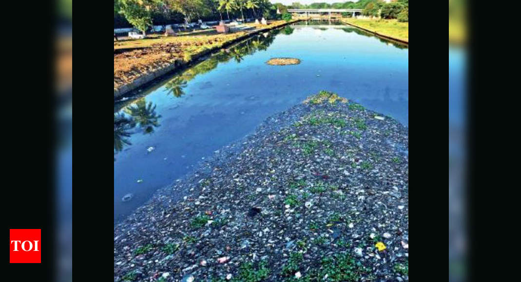 Mula-Mutha among most polluted rivers in country | Pune News - Times of ...