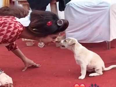 Jennifer Winget adoring a little puppy on Bepannah sets will make your day