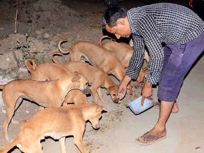 In this Gujarat village, canines are crorepatis