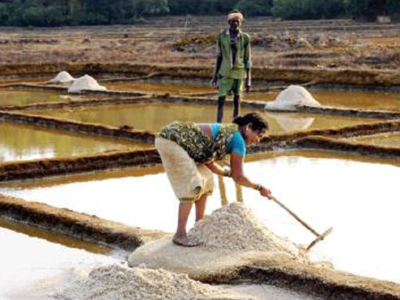 New survey could open up Mumbai's salt pan land for development