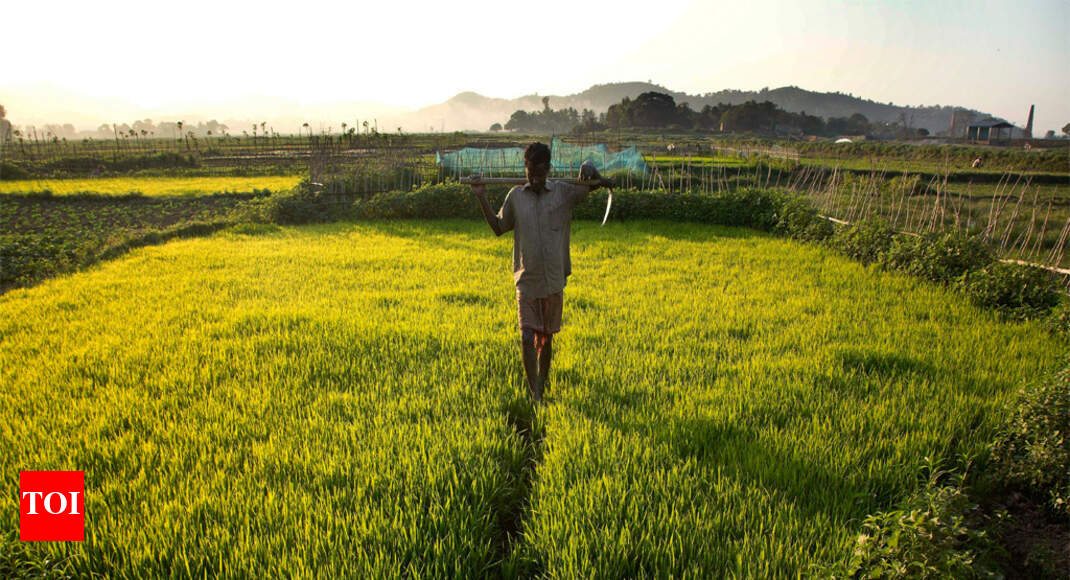 Tamil Nadu Agriculture University ‘Value addition to barnyard millet will fetch farmers Rs 110