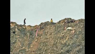 East Delhi corporation secures nod for 2 landfills in Yamuna zone
