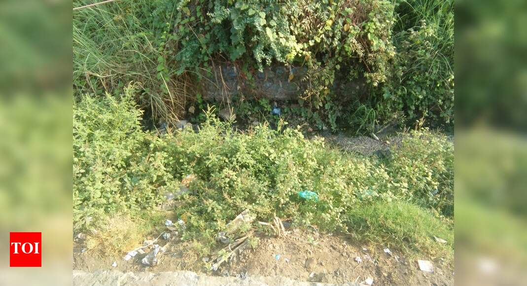litters in the gutters - Times of India