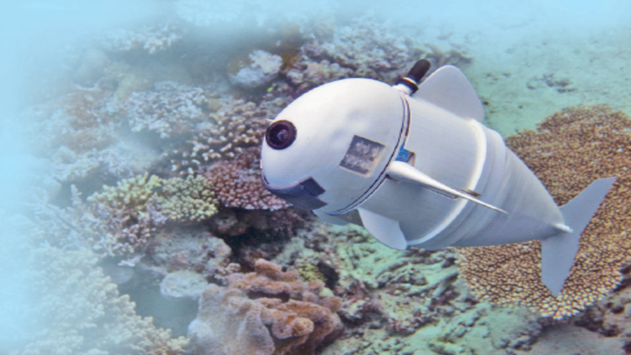 Soon, robotic fish to watch over our oceans - Times of India