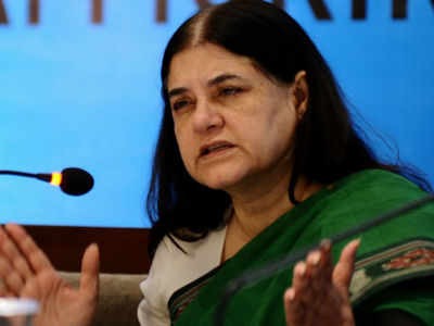 Scheme launched to help women at state, district level: Maneka Gandhi