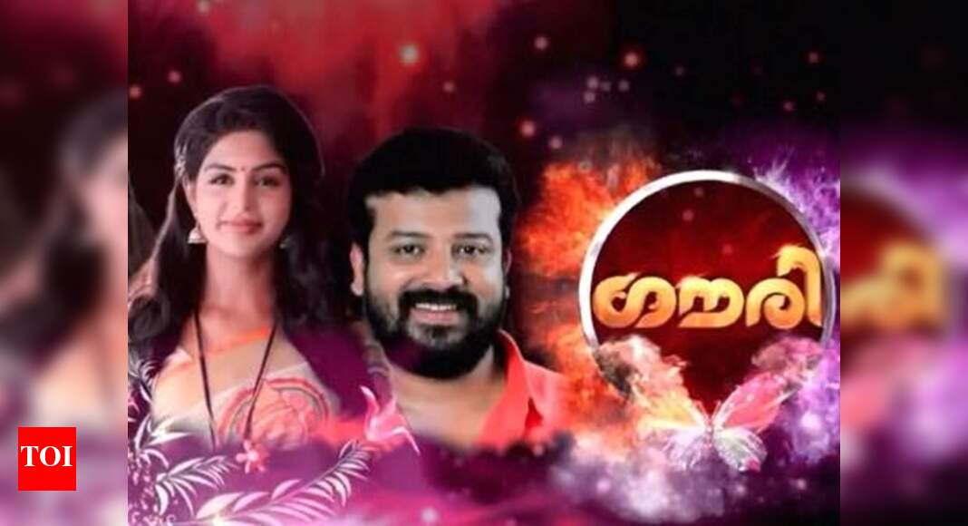 TV show Gouri is going to have a twist in its tale - Times of India